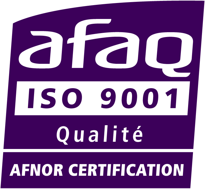 ISO 9001 Logo