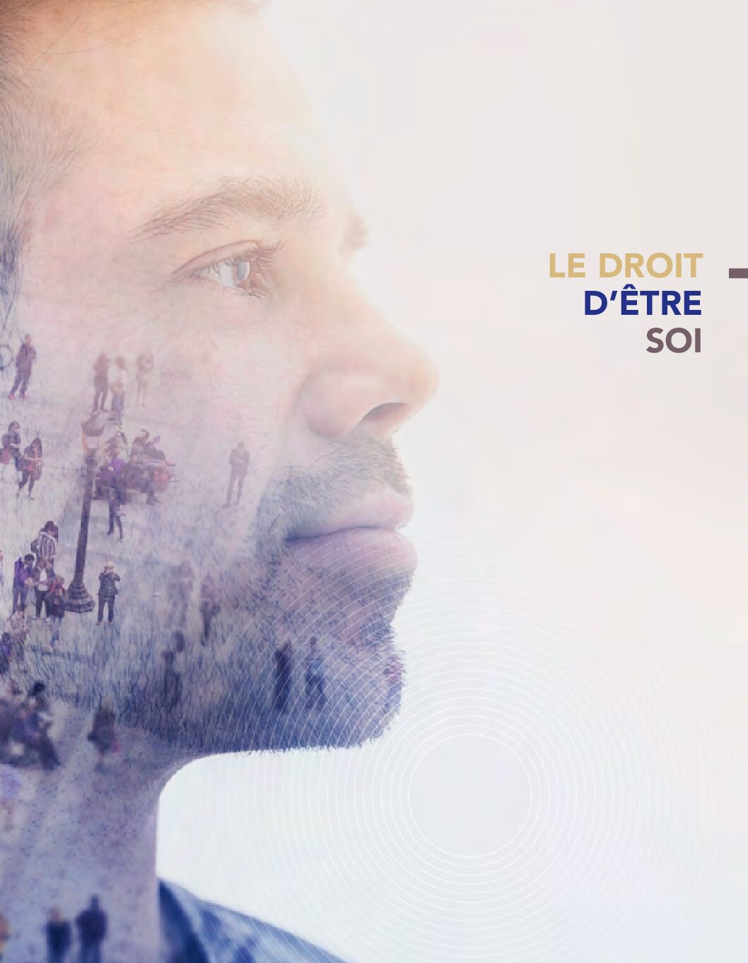 Plaquette institutionnelle